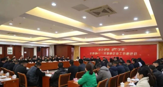 江苏射阳合德镇：聚焦项目抓建设 蓄势赋能促发展