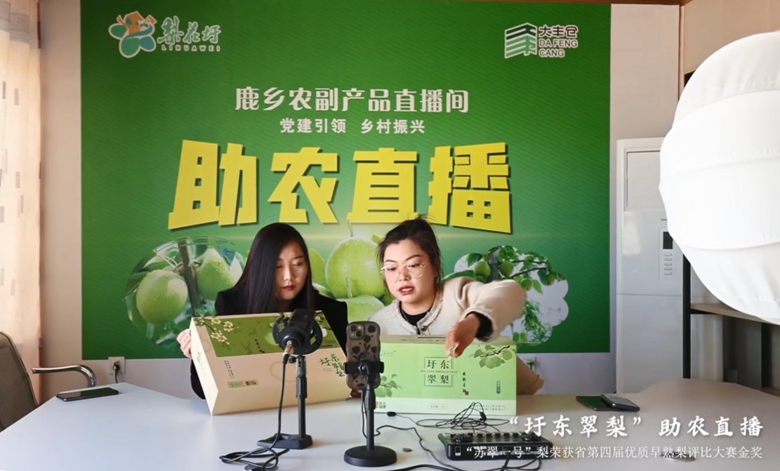 江苏盐城大丰区草庙镇：党建引领跑出乡村振兴“加速度”