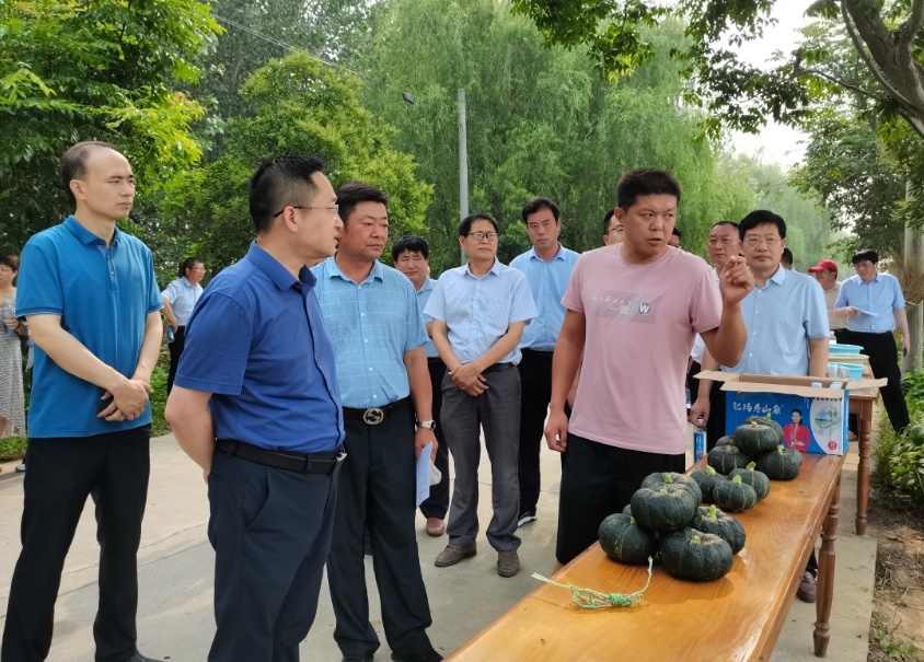 江苏阜宁县罗桥镇：观摩学习得“真经” 乡村振兴添“活力”