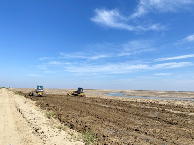 江苏盐城东台：保护“地球之肾”，打造“候鸟天堂”