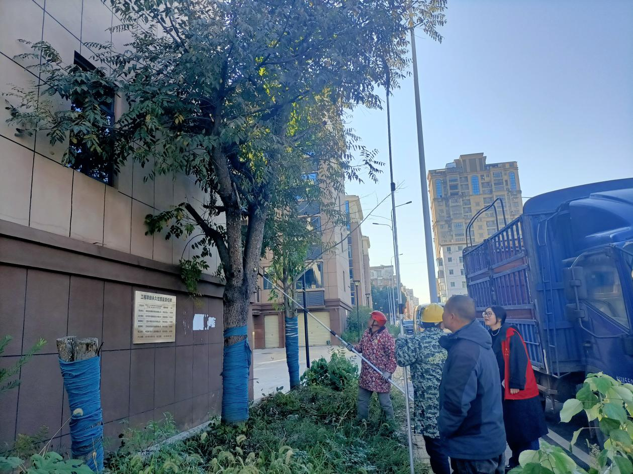 江西奉新：为民修剪“挡光枝”，贴心服务“暖人心”