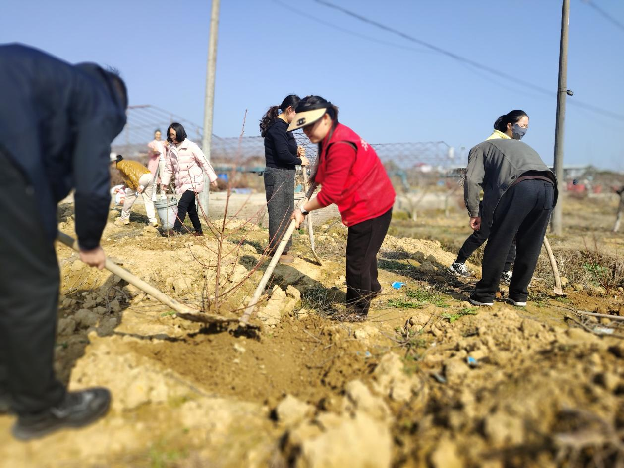 江西奉新：春风添新绿 携手筑家园