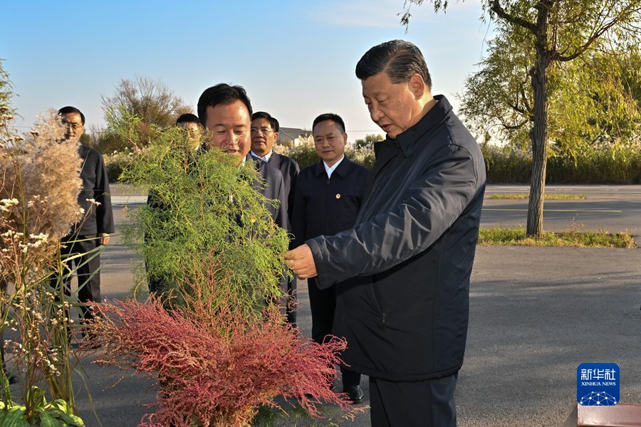 习近平总书记考察黄河入海口并主持召开深入推动黄河流域生态保护和高质量发展座谈会纪实