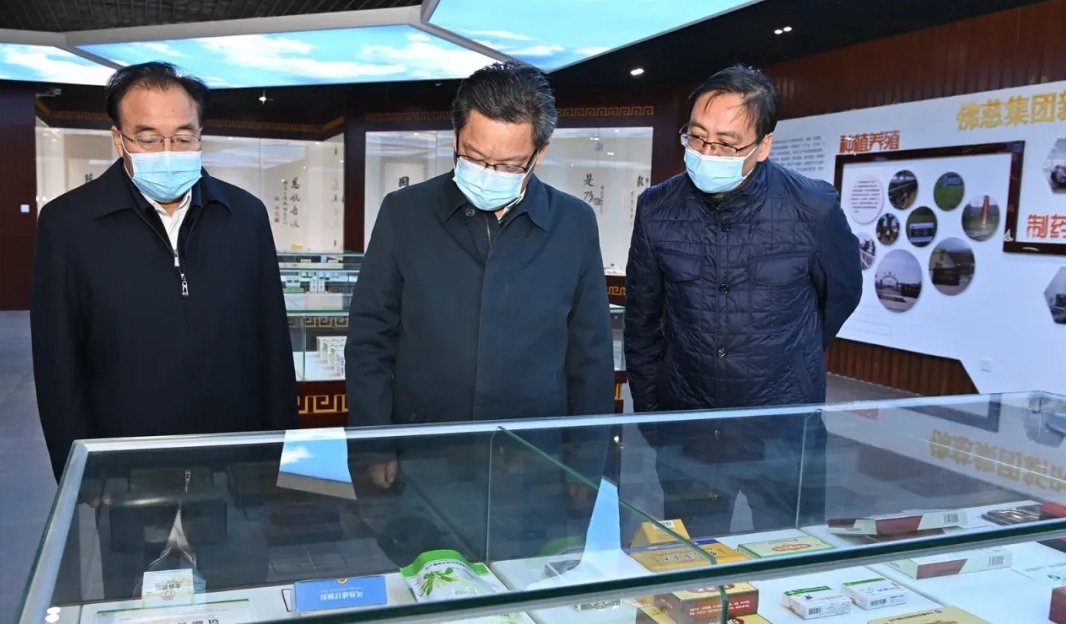 任振鹤在兰州新区调研时强调 以产业赋能高质量发展 以实干贯彻新发展理念