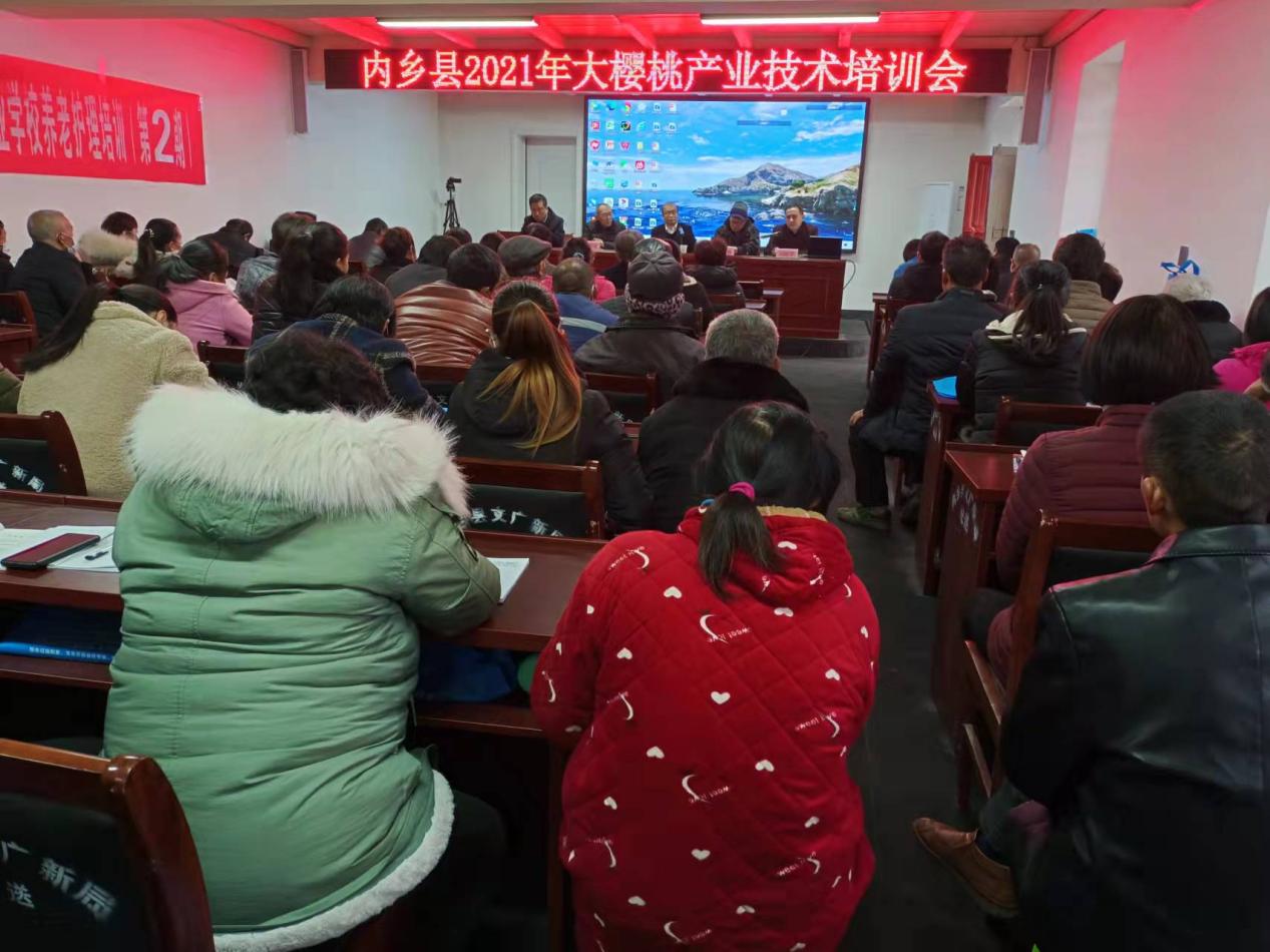 河南省内乡县桃溪镇加强产业培训    发展绿色桃溪