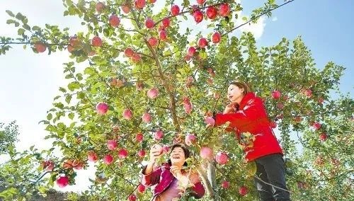 【稳中求进开新局】甘肃平凉实施重点产业链链长制推进高质量发展