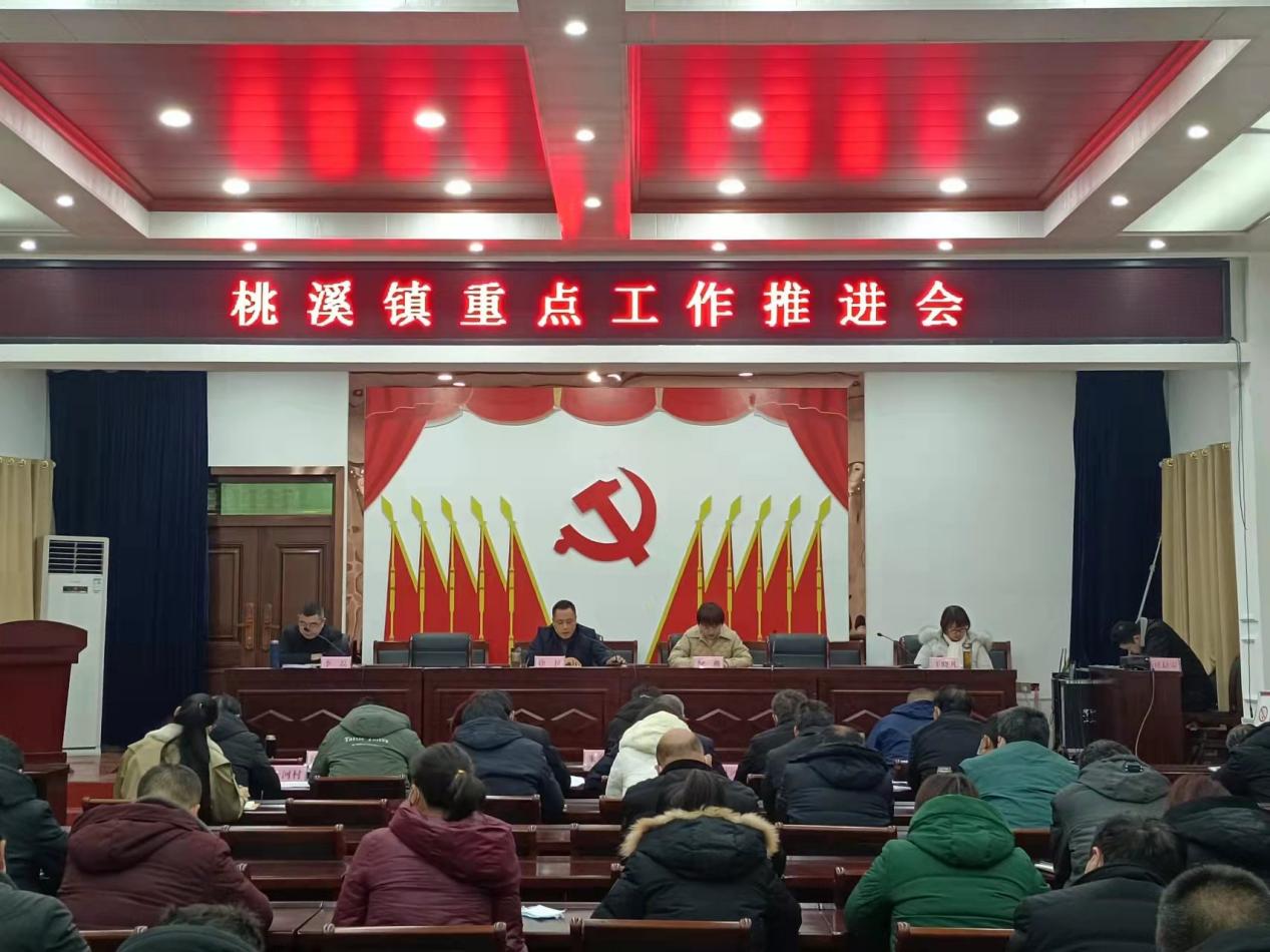 转作风提效能一一河南省内乡桃溪镇砥砺奋进谋发展