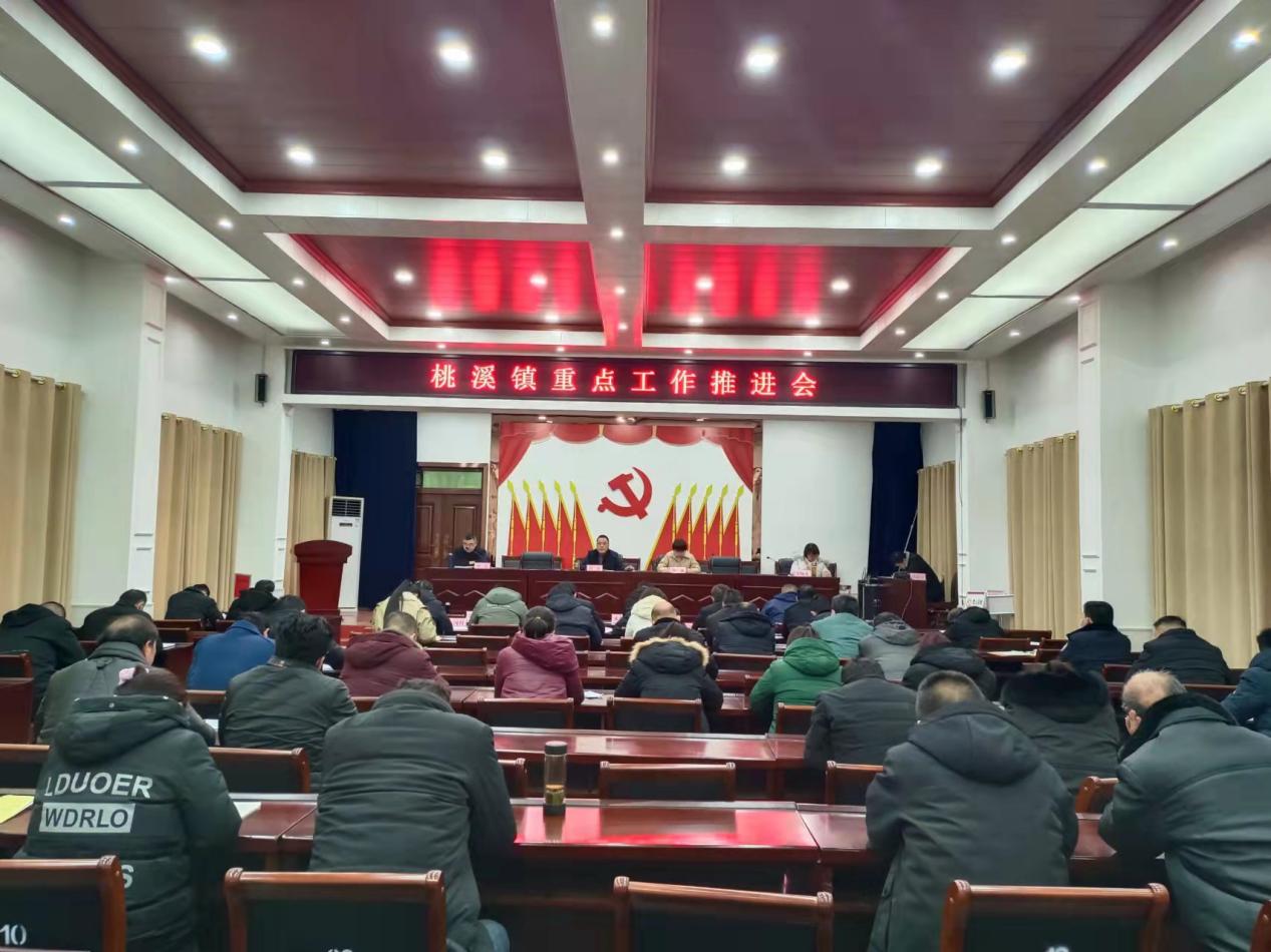转作风提效能一一河南省内乡桃溪镇砥砺奋进谋发展