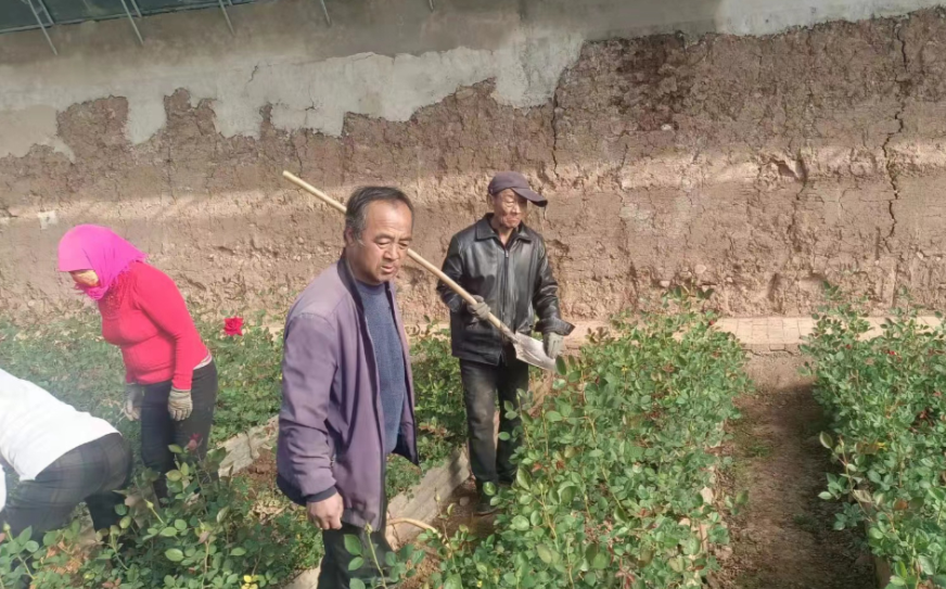 不误农时不负春 春耕备耕正当时——甘肃省定西市上湾镇党群合力助力春耕备耕工作有序开展