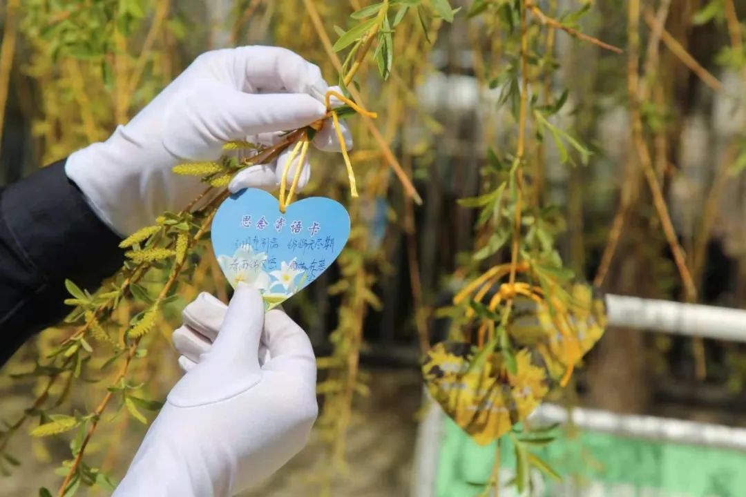 别样清明一样情！兰州市暖心举措满足群众祭扫需求
