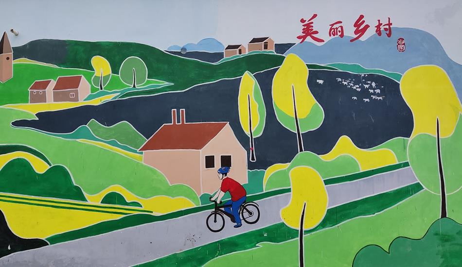 甘肃天水市武山洛门镇大柳树村特色“文化墙”为美丽乡村“锦上添花”