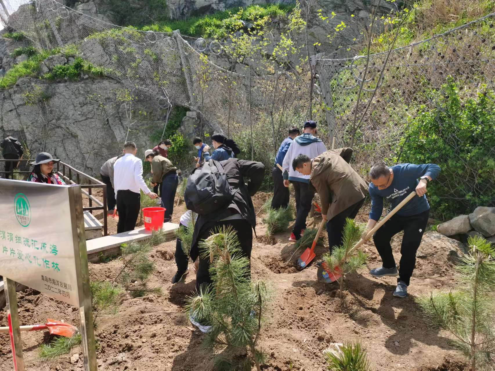 涓涓细流汇成海片片爱心化作林——青岛市海洋发展局组织“义务植树”活动