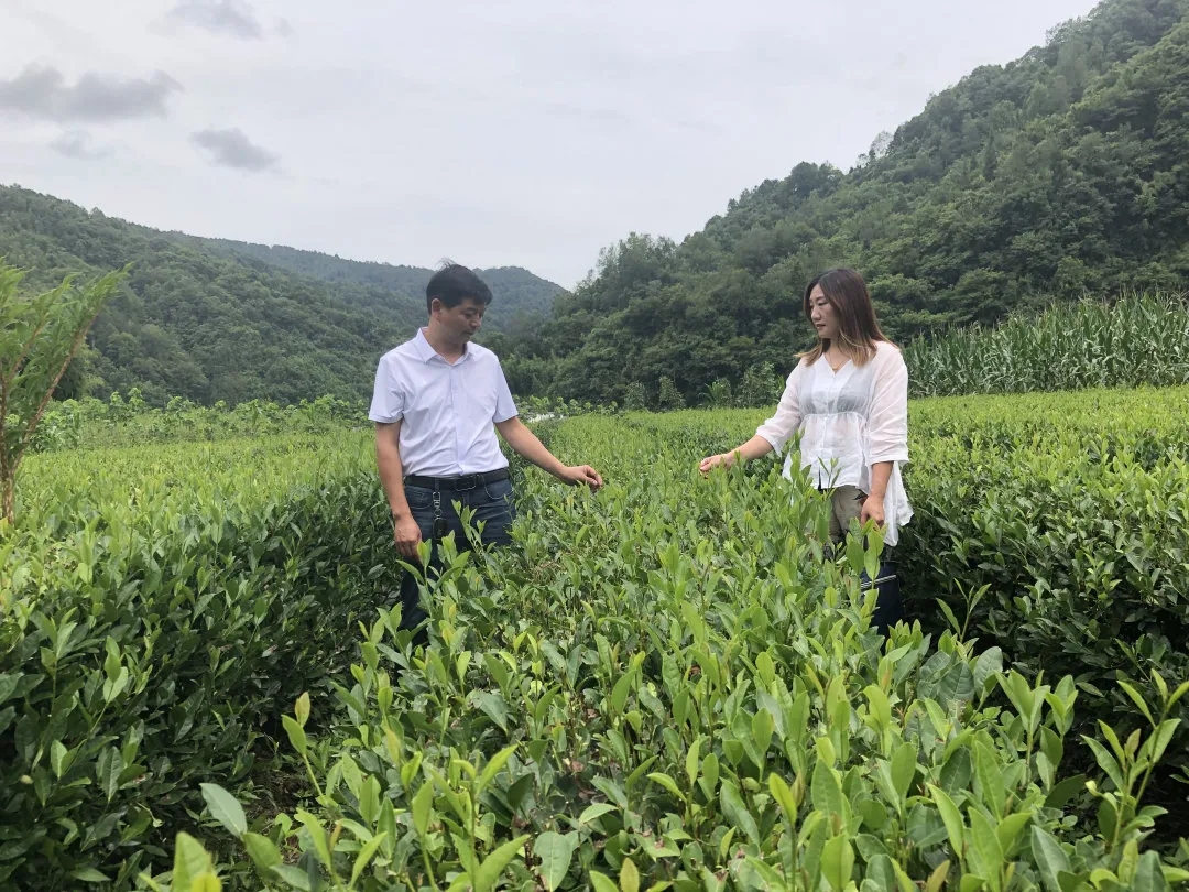 陕西平利：振兴路上夫妻档