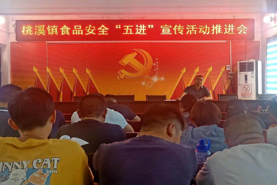 河南省内乡县桃溪镇积极开展食品安全“五进”宣传活动