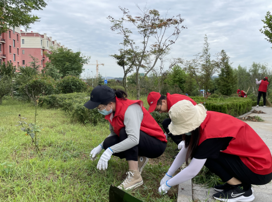 青岛西海岸张家楼街道“绿色驿站”志愿服务项目品牌扮靓辖区环境