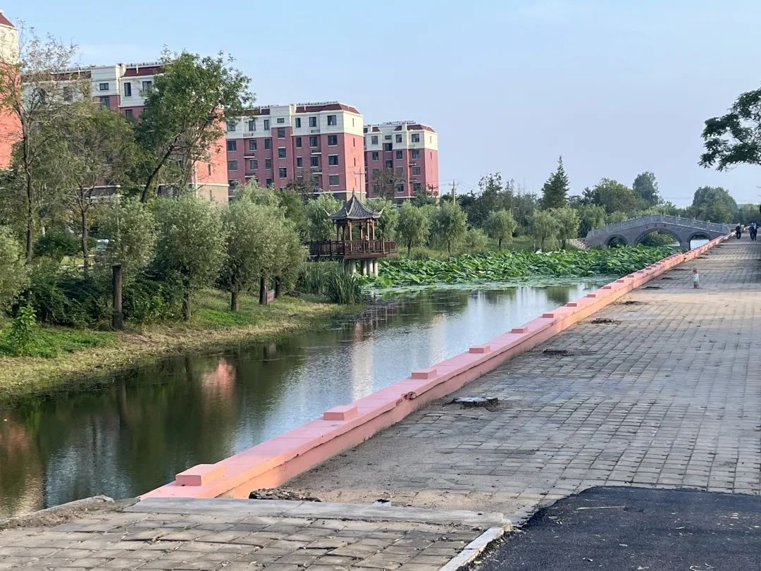 青岛西海岸新区张家楼街道：环境整治长效化，乡村蝶变绽新颜