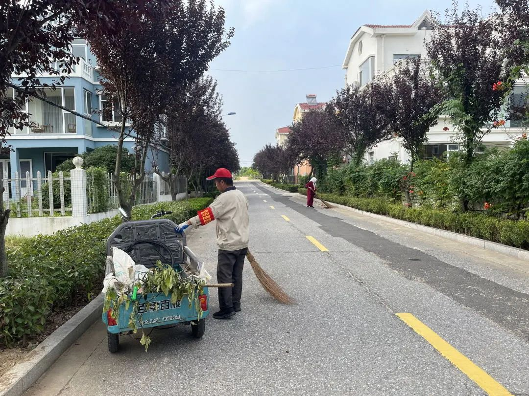 青岛西海岸新区张家楼街道：环境整治长效化，乡村蝶变绽新颜