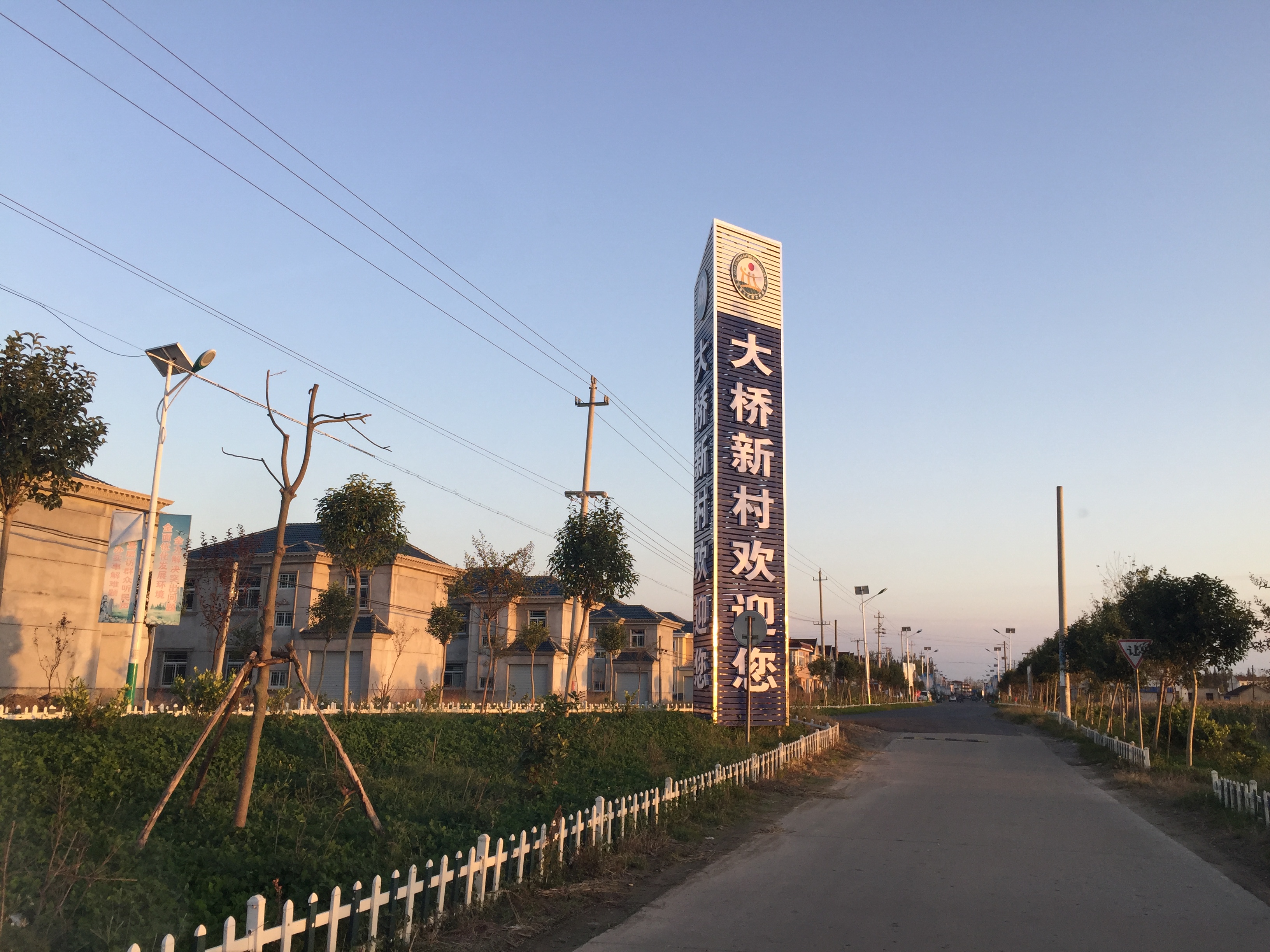 盐城大丰大桥镇：脚踏实地绘就民生幸福新图景