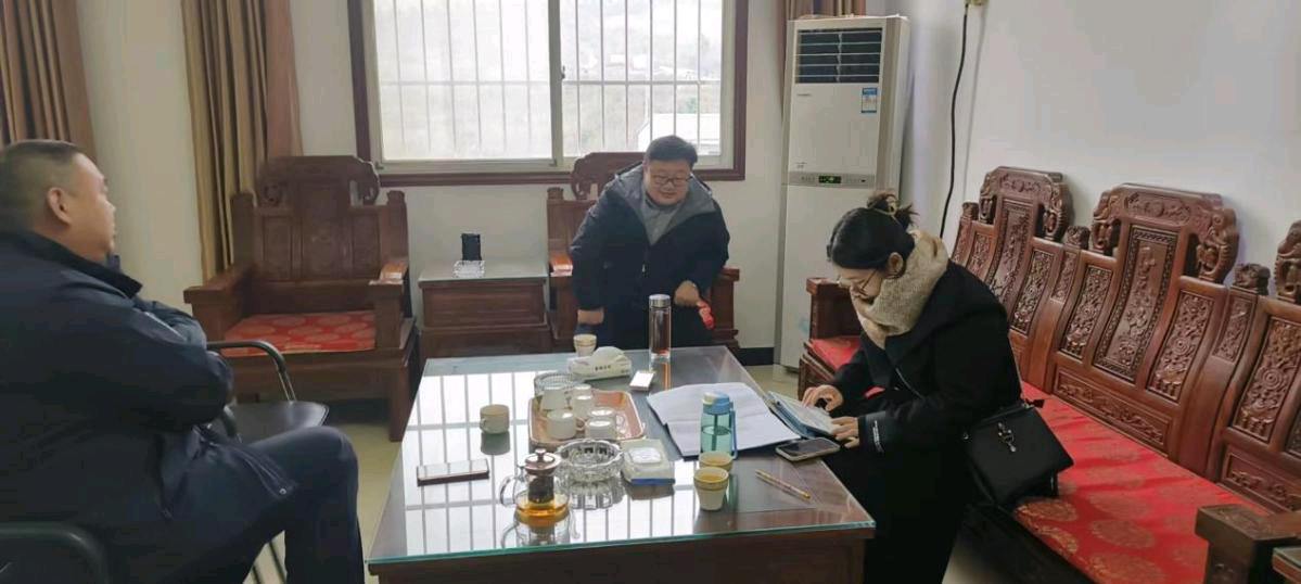 河南内乡桃溪镇:召开企业主体恳谈会，推进信用体系建设