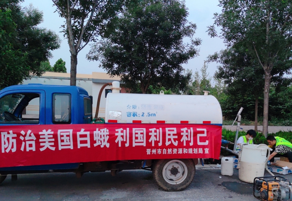 【石家庄晋州市护绿行动】飞机施药 2.5 万亩！灭虫护林筑牢生态防线