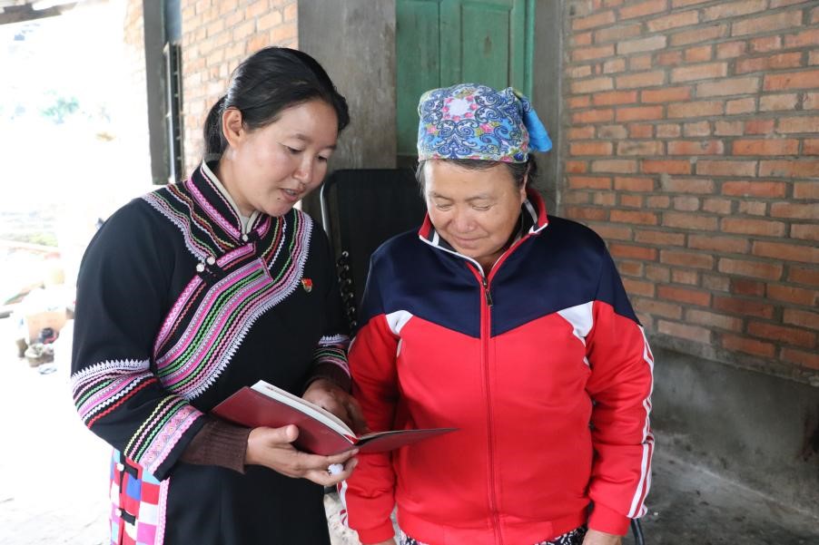 云南西双版纳勐往曼允村的“就业富民”振兴记
