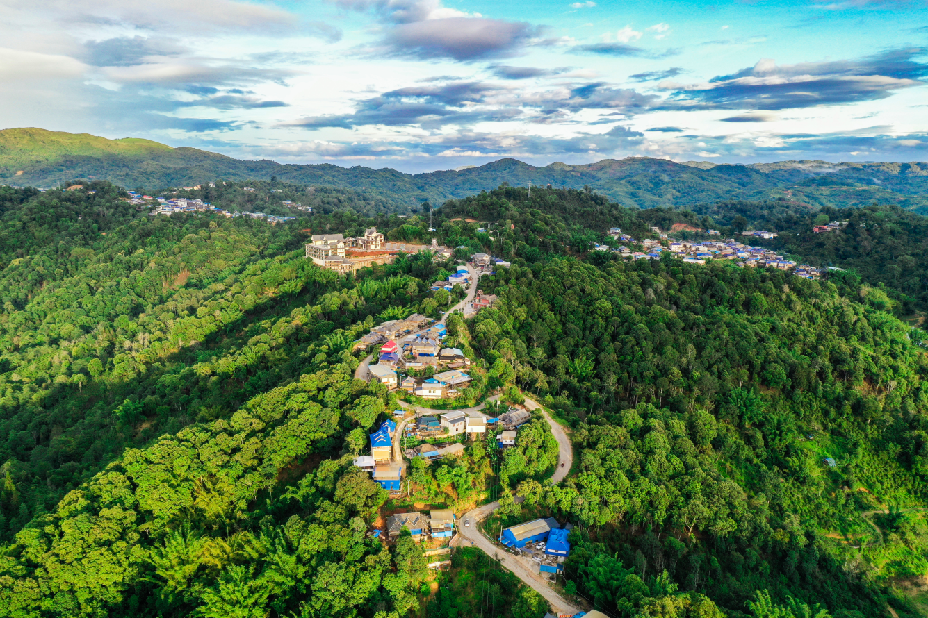 云南西双版纳傣族自治州勐海县贺开村：党建领航“茶山三变”
