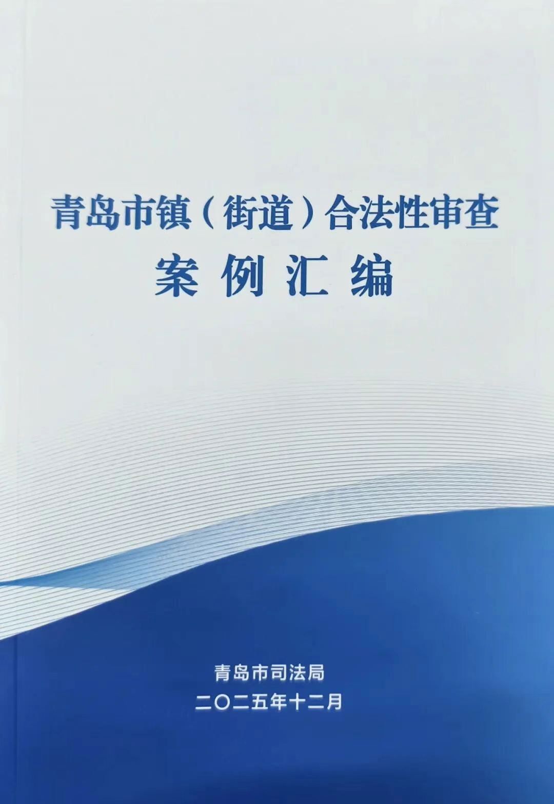案例汇编赋能高效审查  推进基层法治政府建设