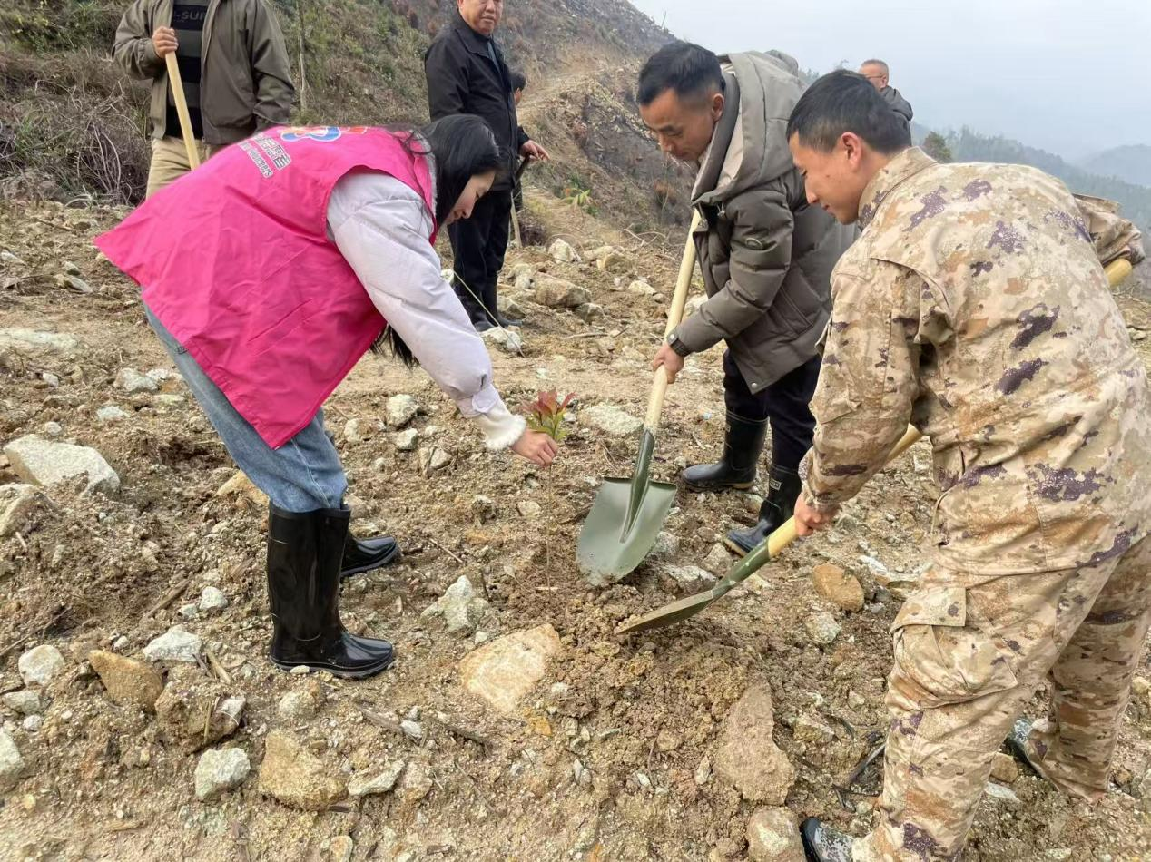 江西奉新：植树添绿正当时